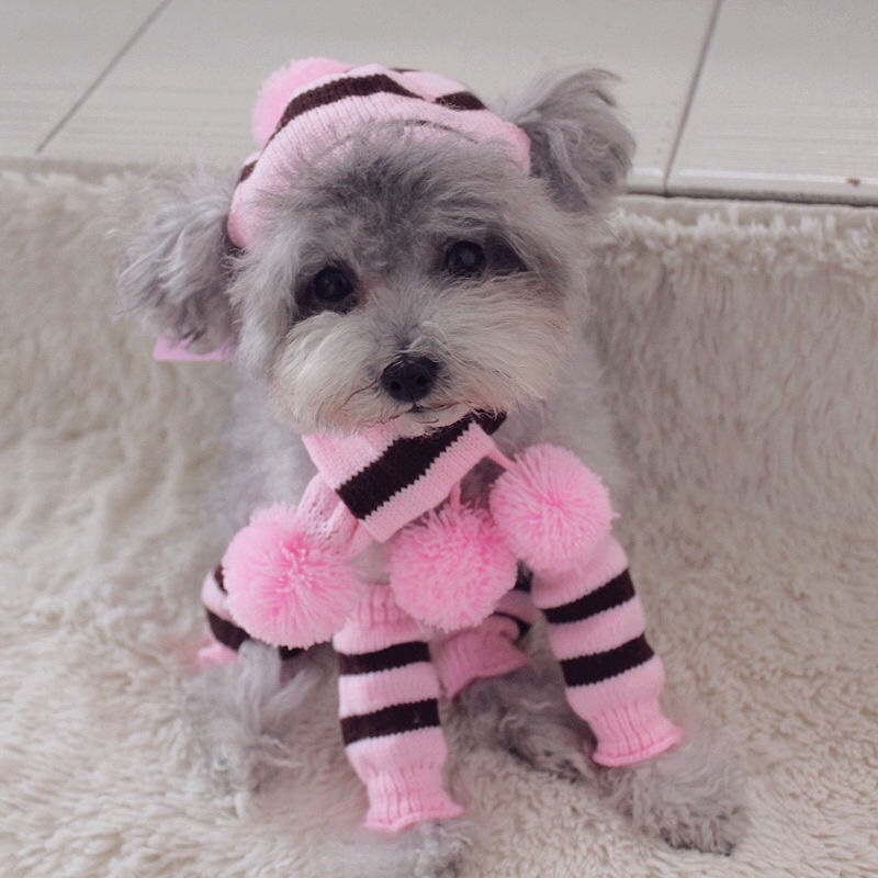 Rainbow Stripe Knitted Dog Win - Winter Clothing Leg Warmers ulasan dan harga