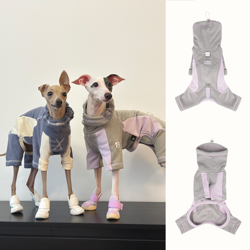 Dog Clothes for Autumn and Win - Winter Clothing Leg Warmers ulasan dan harga