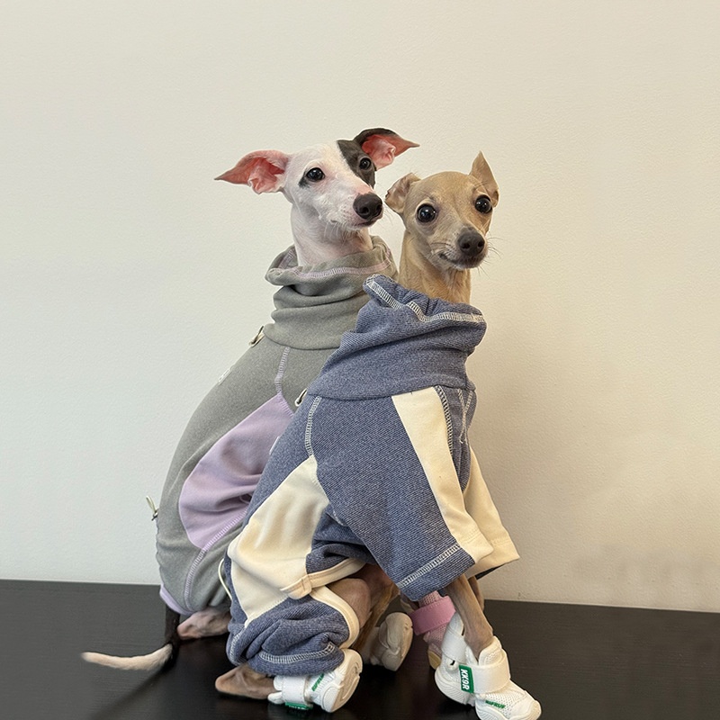 Dog Clothes for Autumn and Win - Winter Clothing Leg Warmers ulasan dan harga