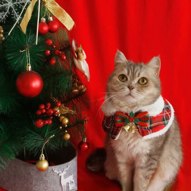Warm Teddy Collar Pet Scarf Ca - Winter Clothing English ulasan dan harga
